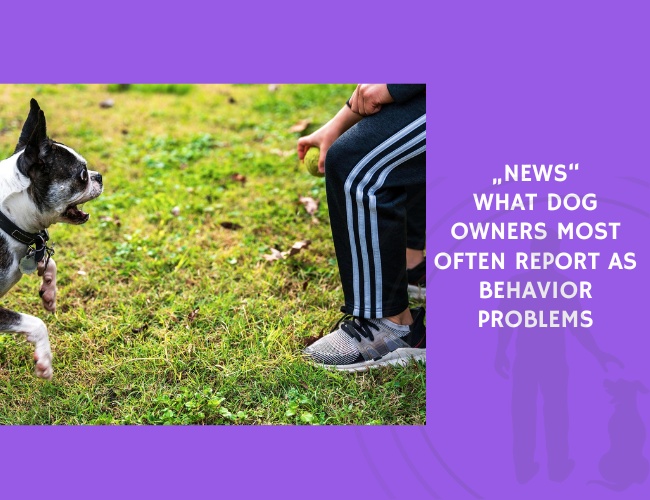 What Dog Owners Most Often Report as Behavior Problems