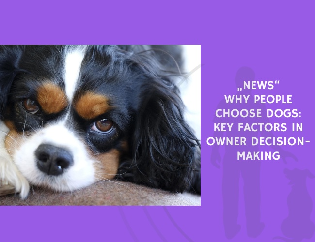 Why People Choose Dogs Key Factors in Owner Decision-Making