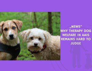 Why Therapy Dog Welfare in AAIs Remains Hard to Judge