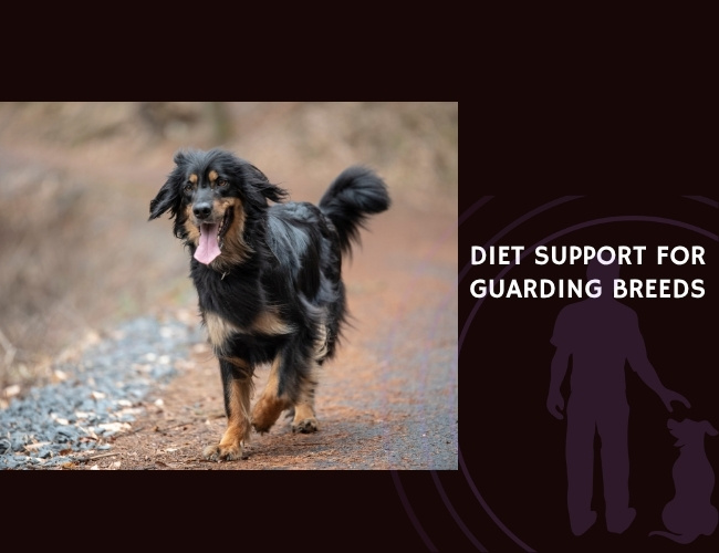 Diet Support for Guarding Breeds