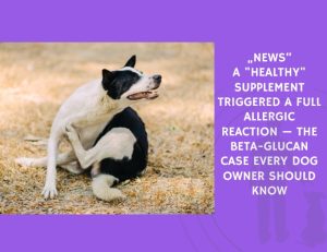 A Healthy Supplement Triggered a Full Allergic Reaction — The Beta-Glucan Case Every Dog Owner Should Know