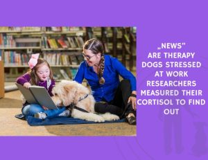 Are Therapy Dogs Stressed at Work Researchers Measured Their Cortisol to Find Out