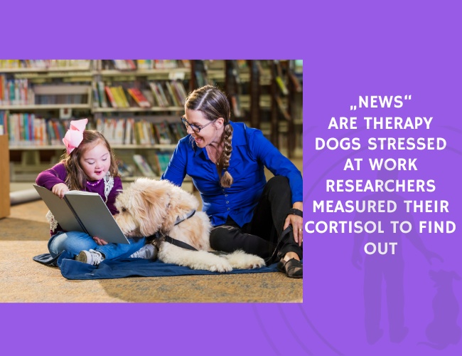 Are Therapy Dogs Stressed at Work Researchers Measured Their Cortisol to Find Out