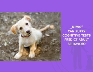 Can Puppy Cognitive Tests Predict Adult Behavior