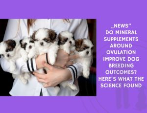 Do Mineral Supplements Around Ovulation Improve Dog Breeding Outcomes Here's What the Science Found