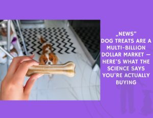 Dog Treats Are a Multi-Billion Dollar Market — Here's What the Science Says You're Actually Buying