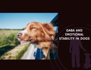 GABA and Emotional Stability in Dogs