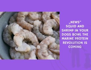 Squid and Shrimp in Your Dogs Bowl The Marine Protein Revolution Is Coming