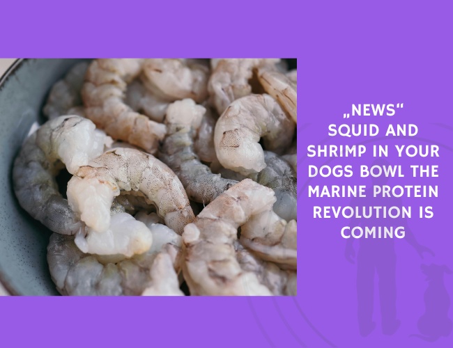 Squid and Shrimp in Your Dogs Bowl The Marine Protein Revolution Is Coming