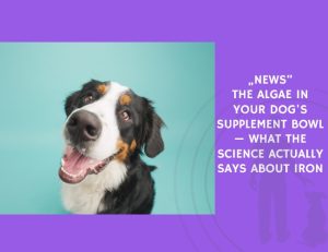 The Algae in Your Dog's Supplement Bowl — What the Science Actually Says About Iron