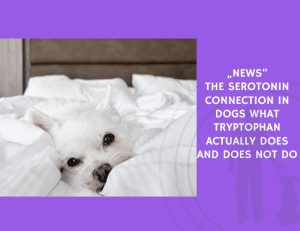 The Serotonin Connection in Dogs What Tryptophan Actually Does and Does Not Do