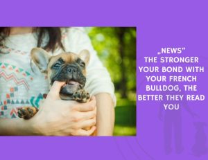 The Stronger Your Bond With Your French Bulldog, the Better They Read You