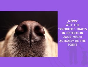 Why the Problem Traits in Detection Dogs Might Actually Be the Point