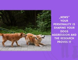 Your Personality Is Shaping Your Dogs Aggression and the Research Proves It