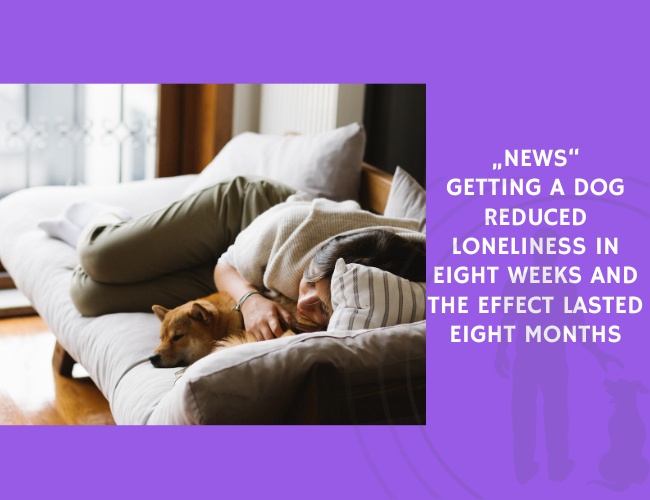 Getting a Dog Reduced Loneliness in Eight Weeks and the Effect Lasted Eight Months