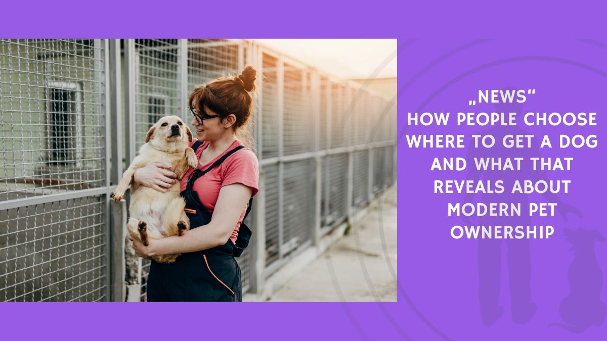 How People Choose Where to Get a Dog and What That Reveals About Modern Pet Ownership