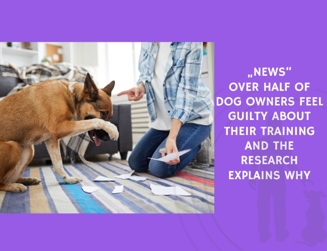 Over Half of Dog Owners Feel Guilty About Their Training and the Research Explains Why