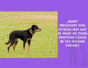 Predatory Dog Attacks May Not Be What We Think Emotions Could Be the Missing Variable
