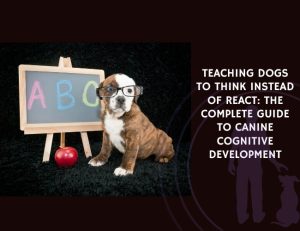 Teaching Dogs to Think Instead of React The Complete Guide to Canine Cognitive Development