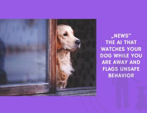 The AI That Watches Your Dog While You Are Away and Flags Unsafe Behavior