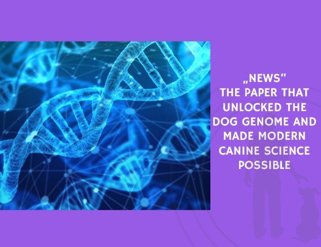 The Paper That Unlocked the Dog Genome and Made Modern Canine Science Possible