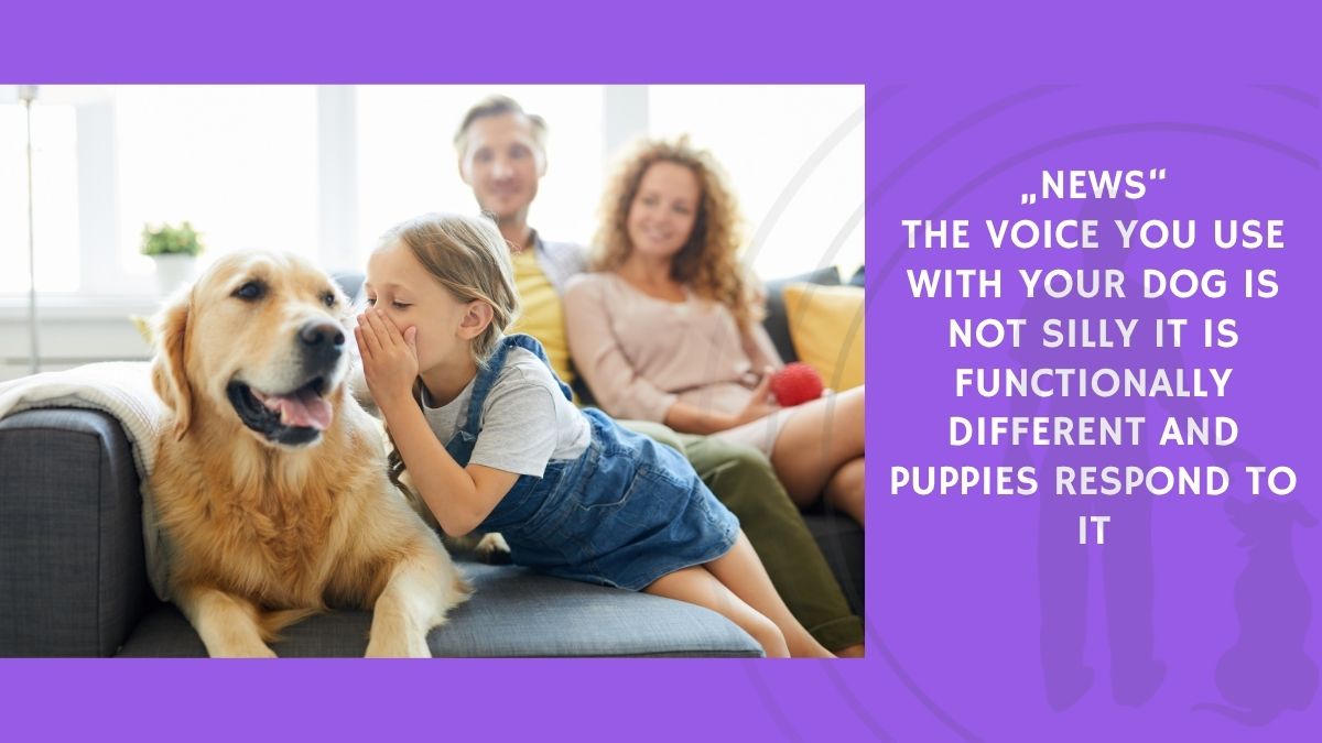 The Voice You Use With Your Dog Is Not Silly It Is Functionally Different and Puppies Respond to It