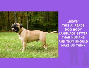 This AI Reads Dog Body Language Better Than Humans and That Should Make Us Think