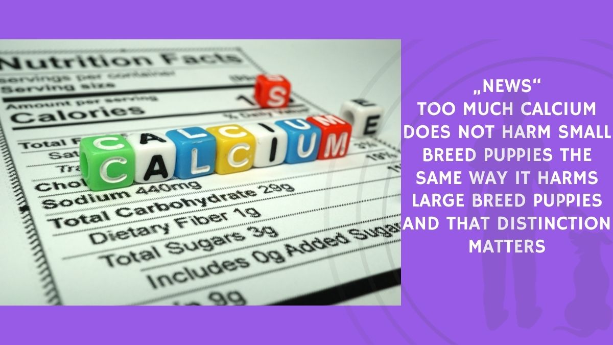 Too Much Calcium Does Not Harm Small Breed Puppies the Same Way It Harms Large Breed Puppies and That Distinction Matters