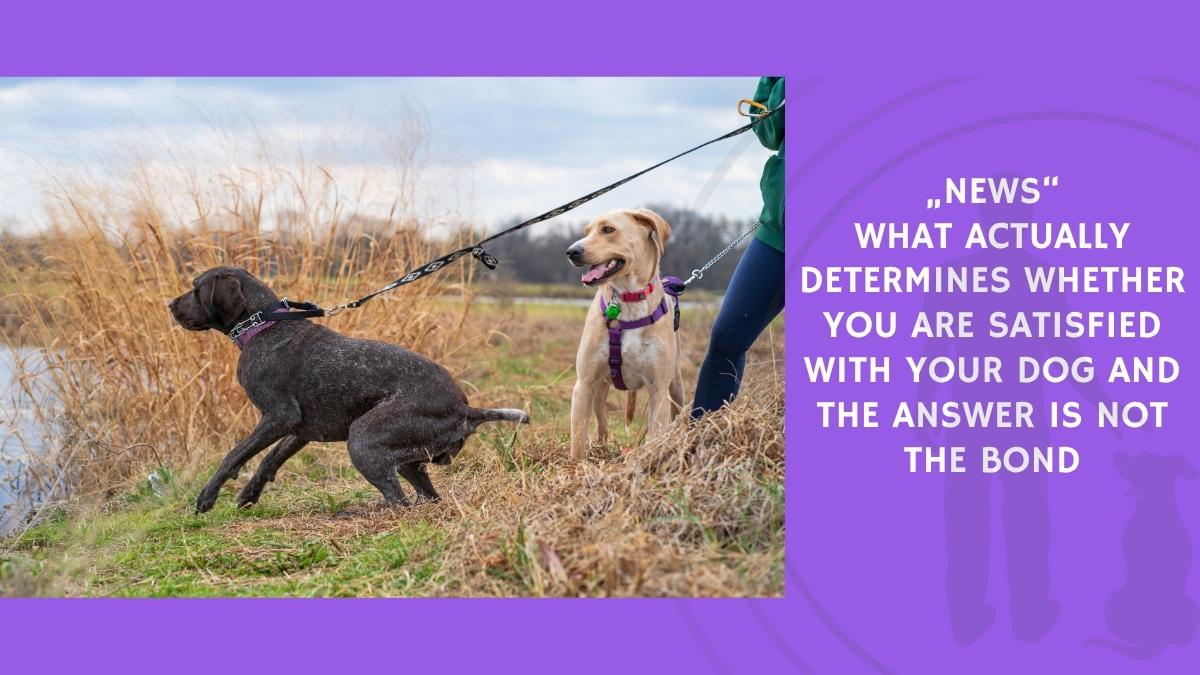 What Actually Determines Whether You Are Satisfied With Your Dog and the Answer Is Not the Bond