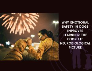 Why Emotional Safety in Dogs Improves Learning The Complete Neurobiological Picture
