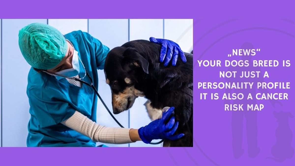 Your Dogs Breed Is Not Just a Personality Profile It Is Also a Cancer Risk Map