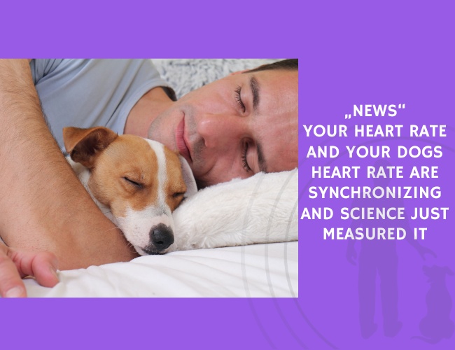 Your Heart Rate and Your Dogs Heart Rate Are Synchronizing and Science Just Measured It