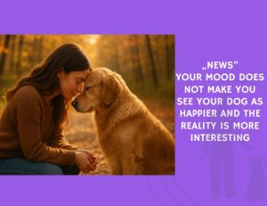 Your Mood Does Not Make You See Your Dog as Happier and the Reality Is More Interesting