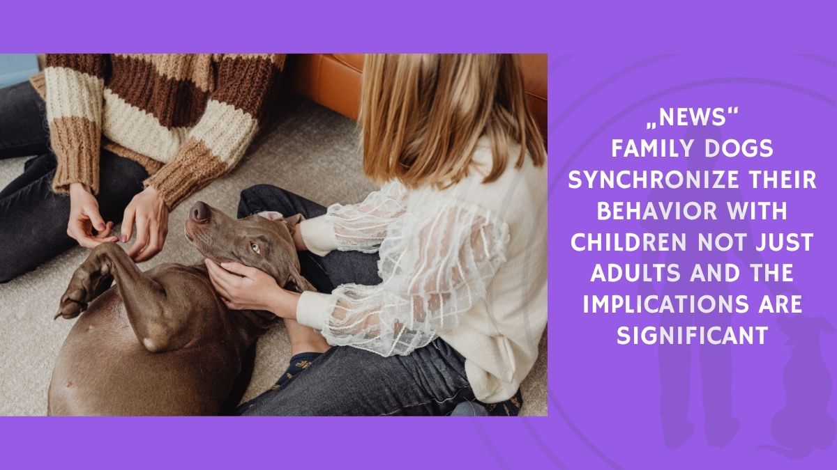 Family Dogs Synchronize Their Behavior With Children Not Just Adults and the Implications Are Significant