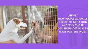 How People Actually Decide to Get a Dog and Why Those Decisions Often Miss What Matters Most