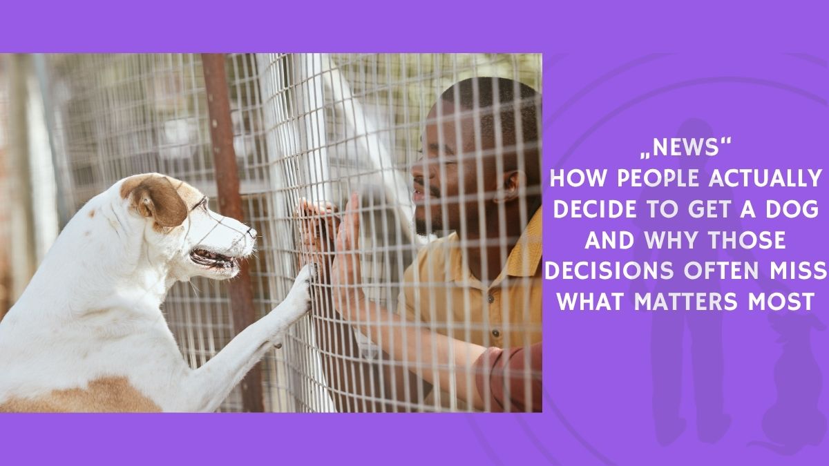 How People Actually Decide to Get a Dog and Why Those Decisions Often Miss What Matters Most
