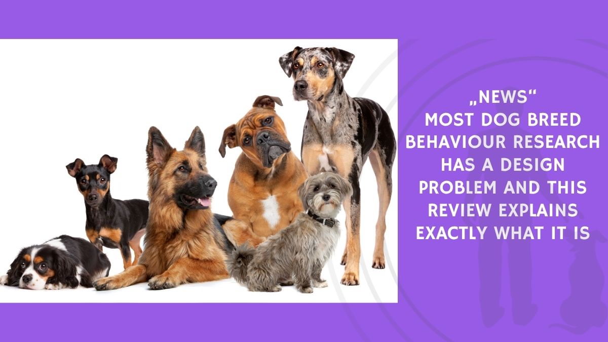 Most Dog Breed Behaviour Research Has a Design Problem and This Review Explains Exactly What It Is