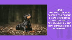 One DNA Test Now Screens for Genetic Disease Parentage and Coat Traits Simultaneously and That Changes Breed Management
