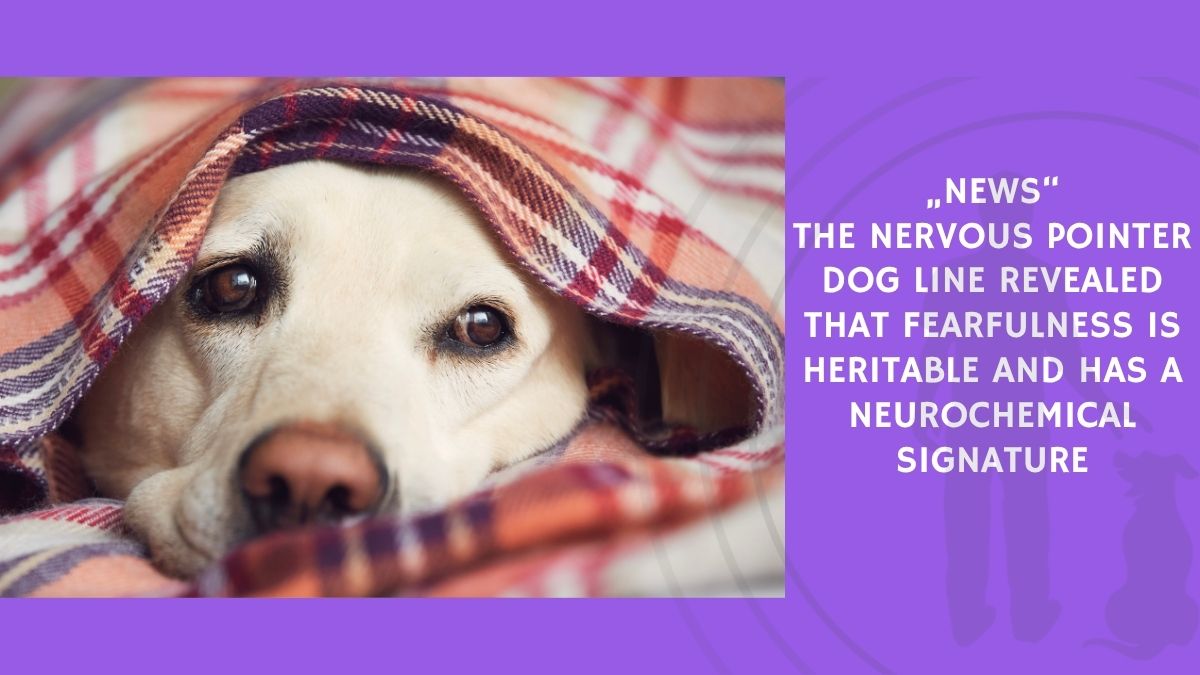 The Nervous Pointer Dog Line Revealed That Fearfulness Is Heritable and Has a Neurochemical Signature