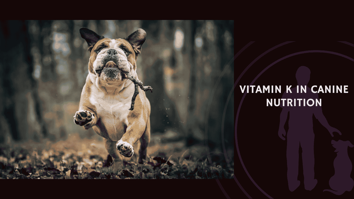 Vitamin K in Canine Nutrition