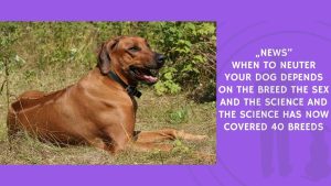 When to Neuter Your Dog Depends on the Breed the Sex and the Science and the Science Has Now Covered 40 Breeds